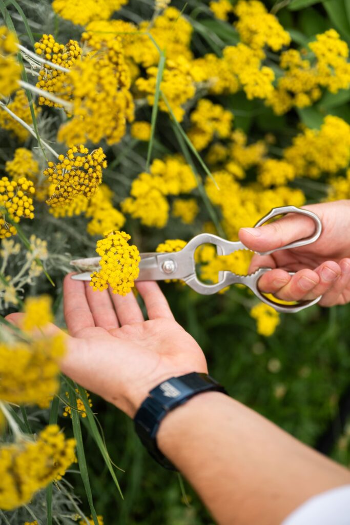 Sezonska jela na tanjuru, Eateria Zagreb