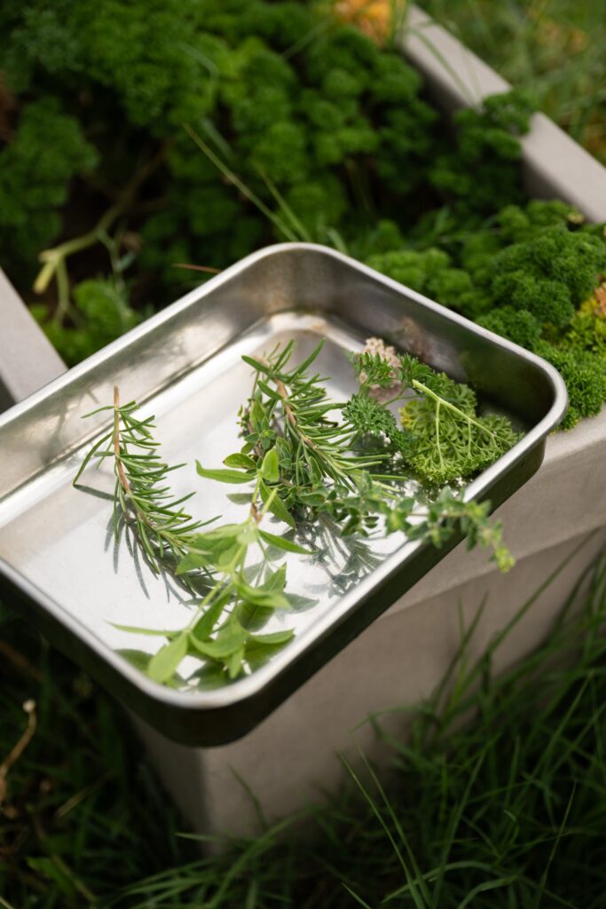 Sezonska jela na tanjuru, Eateria Zagreb